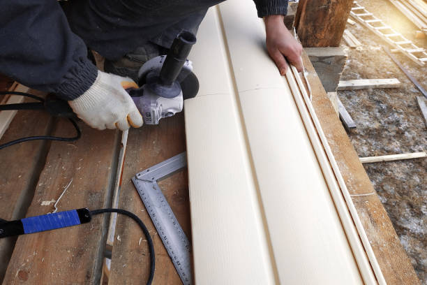 Best Siding for New Construction  in Sitka, AK